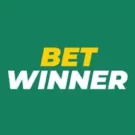 BetWinner Casino